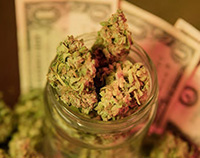 cannibas in glass jar in front of money