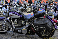 group of motorcycles parked
